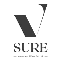 VSure Investment